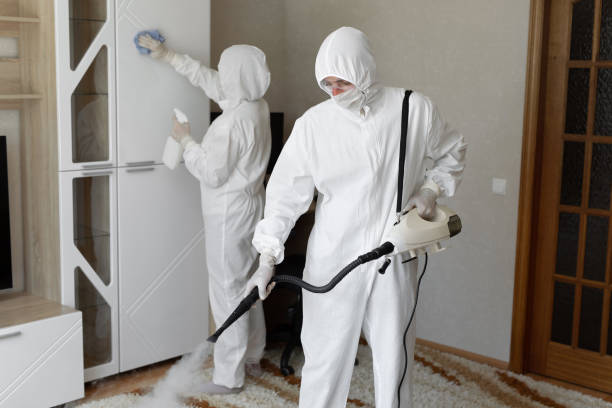 24/7 Emergency Odor Removal experts in Canton, NC
