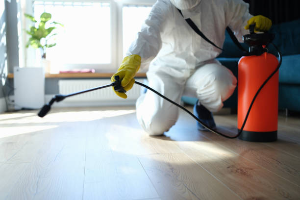Reliable Odor Removal contractor in Canton, NC by Trauma Clean Pros